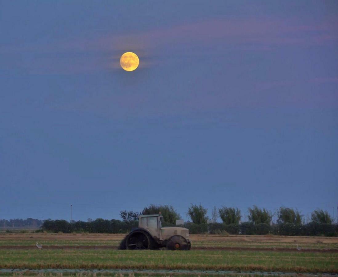L' Espiga - Casa Rural Делтебре Екстериор снимка